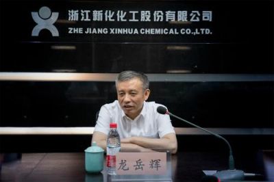 省税务局党委书记、副局长龙岳辉莅临公司调研